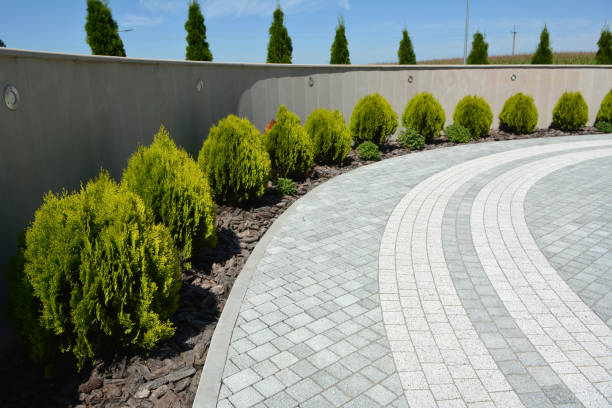Best Professional Driveway Pavers  in Chena Ridge, AK
